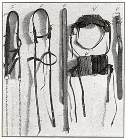 Verschiedene Hundegeschirre um 1915