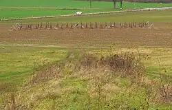 Gehölzpflanzung am früheren Standort der Rednertribüne, im Vordergrund der darauf zuführende und als „Führerweg“ bezeichnete Mittelweg