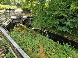 Dole am Schäferhundeverein Waiblingen