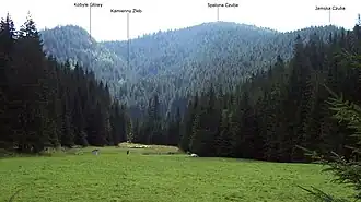 Blick von der Alm Polana Huciska