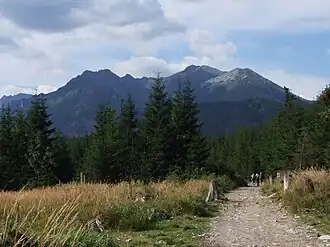 Blick vom Tal Dolina Waksmundzka