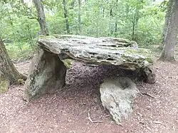 Pierre couverte von Bué