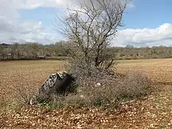 Dolmen Lac Lapeyre