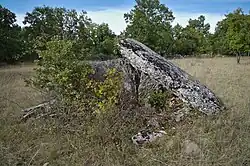 Dolmen 2 von Dirau (Sanguinades)