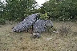 Dolmen 2 von Dirau (Sanguinades)