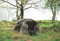 Dolmen du Peyre-Dusets