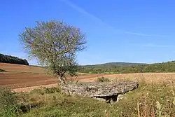 Dolmen de Pierre-Brûlée
