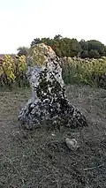 Menhir Grande Pierre