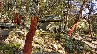 Dolmen de la Siureda