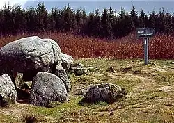 Die Pierre Courcoulée