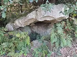 Dolmen Pierre du Crapeau