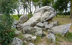 Pierre Folle du Plessis