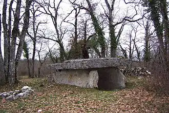 Dolmen Table de Roux