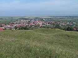 Die Keltengrabhügel oberhalb von Donnerskirchen (2013)