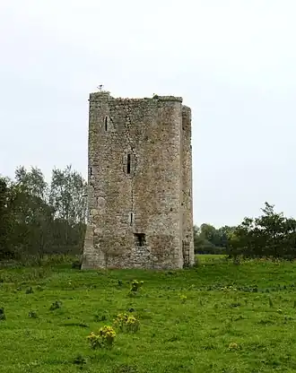 Donore Castle