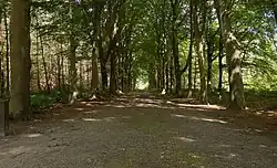 Doorn, die Dartheide