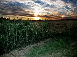 Halo mit Nebensonnen bei Echzell/Hessen am 12. August 2012