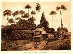 Dorf Roemsaro (Neuguinea)