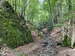 Dorperhofer Bach nahe der Müngstener Brücke
