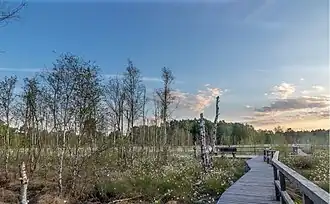 Das Dosenmoor nach erfolgreicher Wiedervernässung