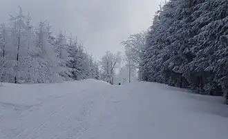 Auf der Kalkstraße von Nassau in Richtung Drachenkopf