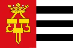 Flagge des Ortes Drachten