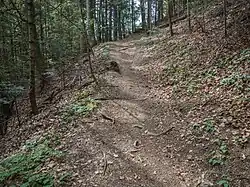 Wanderweg über den Rappentobelbach (2024)