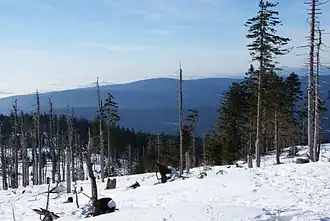 Blick vom Dreisesselberg auf den Haidel (Bildmitte)