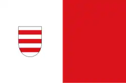 Flagge des Ortes Driewegen