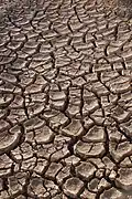 Trockenrisse im Boden.