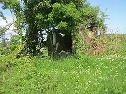 Portal Tomb von Drumany