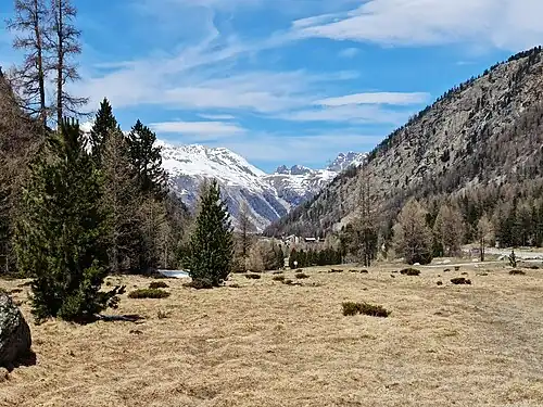 Auch aus der Val Bernina ist der herzförmige Doppelgipfel des Dschimels zu sehen, fotografiert zwischen Pontresina und Morteratsch (für Annotationen der einzelnen Berge aufs Bild klicken)