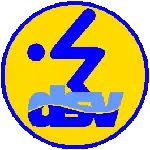 Schwimmabzeichen Gold