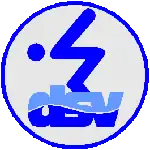 Schwimmabzeichen Silber