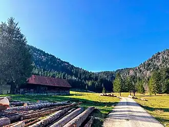 Almhütte der Dudlalm
