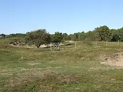 Fossile Dünen von Ghyvelde