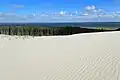 Dünen im Slowinzischen Nationalpark bei Łeba (Westpommern)