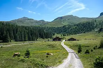Seekopf (Mitte rechts) von der Durchgangalm (Hüttwinkltal)