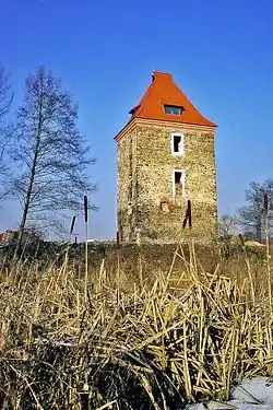Wohnturm in Dzietrzychowice