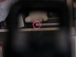 Blick durch ein EOTech-512-Holovisier