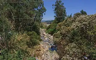 Als Müllhalde genutzter Fluss