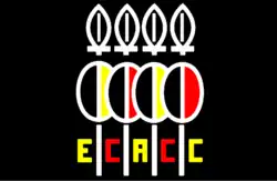 Ost- und Zentralafrikanische Cricket-Nationalmannschaft