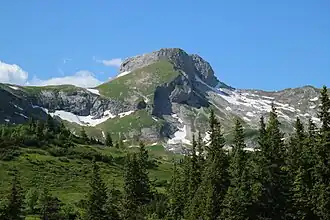 Der charakteristische Gipfelaufbau des Ebensteins von Süden