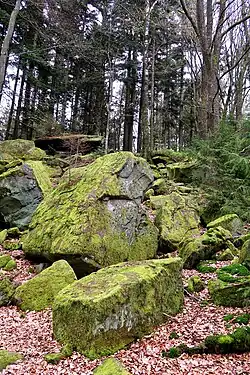 Moosbewachsene Felsen im Ebersberger Felsenmeer