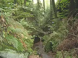Naturschutzgebiet Teufelsloch, September 2008