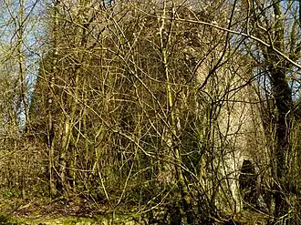 Ehemaliger Kalkofen im NSG