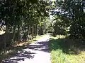 Bahnradweg bei Droßdorf