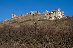 Dolomitisierte Schwammriff-Massenkalkfazies des Ehrenbürg-Plateaus bei Forchheim/Oberfranken