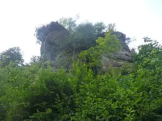 Ehrenfels am Osthang