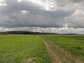 Der bewaldete Stauchmoränenkomplexe Eichberg, Schwarzer Berg und Gallberg